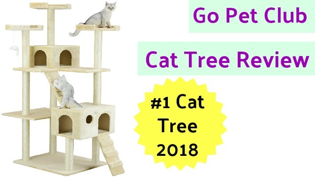 Go Pet Club Cat Tree Review