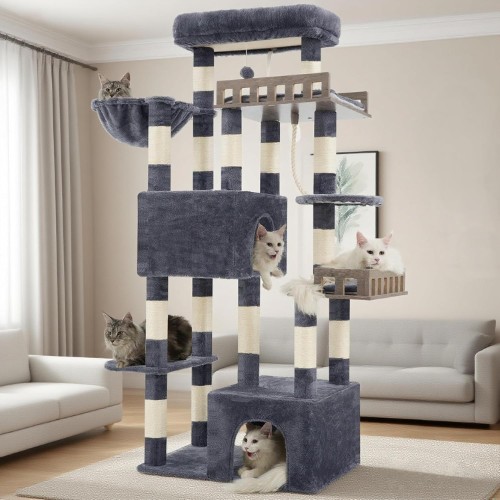 Gitelsnour Heavy Duty Maine Coon Cat Tree showing dual condos, hammock and sisal posts in a living room.