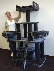 The Best Sturdy Cat Tree for Large Cats [Your Cat Needs ...