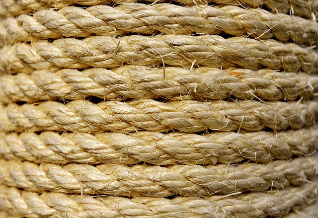 cat_climbing_structures_sisal rope