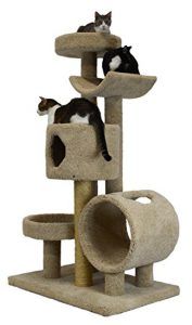 cat_climbing_structures_best_cat_trees_for_maine_coons_molly_and_friends