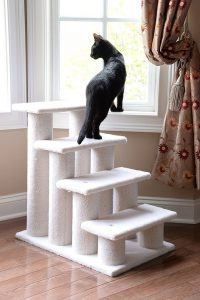cat_climbing_structures_caring_for_older_cats_stairs