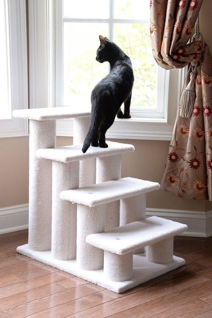 cat_climbing_structures_caring_for_older_cats_stairs Cat Climbing