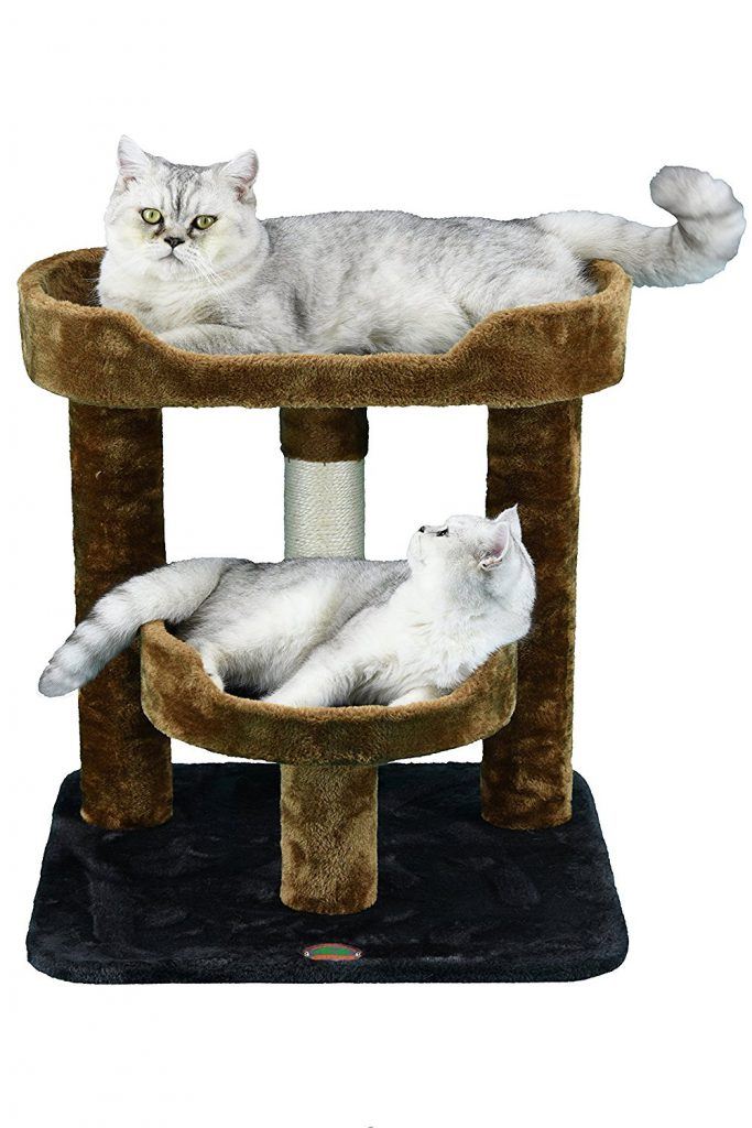 10 Best Cat Trees For Older Cats Cat Climbing Structures