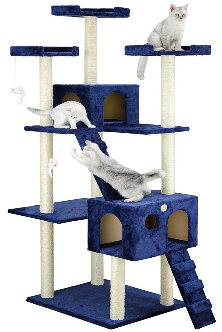 10 Best Cat Trees For Older Cats Cat Climbing Structures