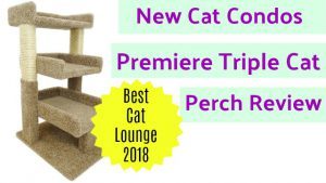 best_cat_trees_for_older_cats_new_cat_condos_premier_triple_cat_perch_review