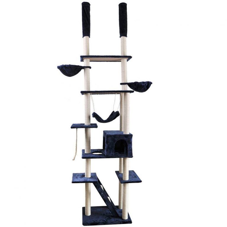 10 Best Cat Trees For Older Cats Cat Climbing Structures