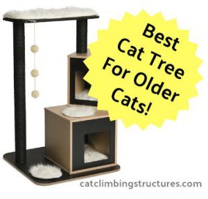 cat_climbing_structures_best_cat_trees_for_older_cats_