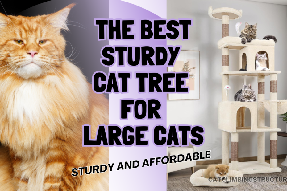 The_Best_Sturdy_Cat_Tree_for_Large_Cats