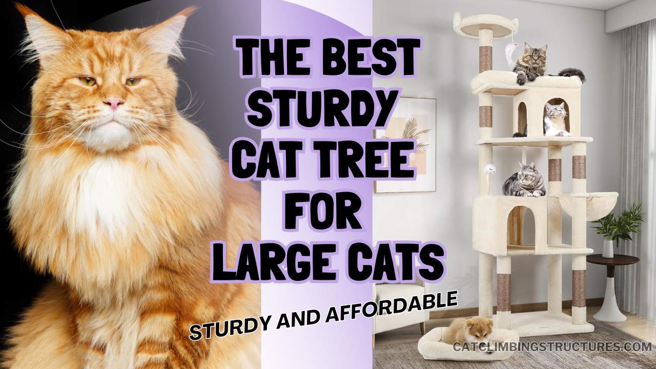 The_Best_Sturdy_Cat_Tree_for_Large_Cats