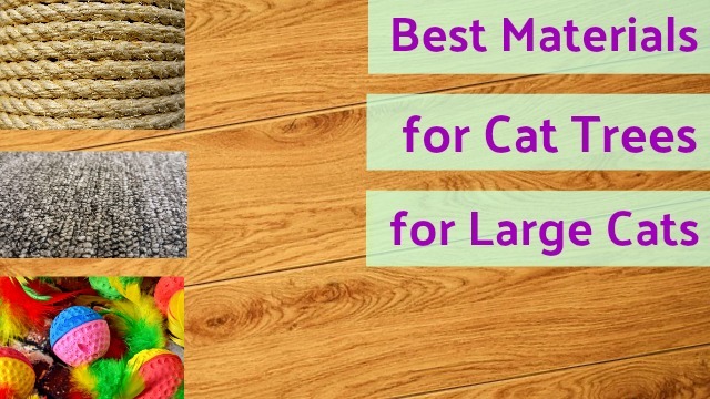 Best Materials for Cat Trees for Large Cats