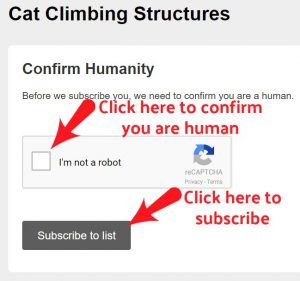 cat_climbing_structures_email_confirmation_3_