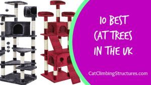 cat_climbing_structures_10_best_cat_trees_in_the_uk_logo