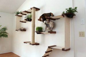 cat_climbing_structures_best_wall_mounted_cat_tree_catastrophiCreations_Cat_Mod_Garden_Complex_shelves_sm