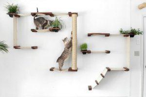 cat_climbing_structures_best_wall_mounted_cat_tree_catastrophiCreations_Cat_Mod_Garden_Complex_sm