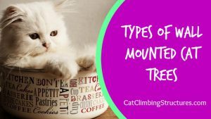 cat_climbing_structures_types_of_wall_mounted_cat_trees_tn