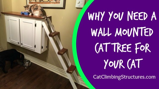 Why You Need A Wall Mounted Cat Tree for Your Cat