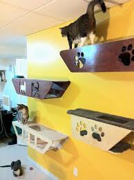 cat_climbing_structures_wall_mounted_cat_trees