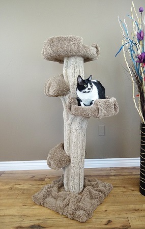 cat_climbing_structures_unique_cat_trees_and_towers_new_cat_condos_premiere_cat_play_tree