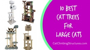 cat_climbing_structures_10_best_cat_trees_for_large_cats