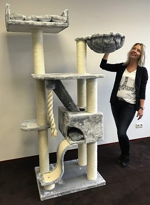 cat_climbing_structures_best_cat_condos_for_large_cats_cattreekings_mansion_grey
