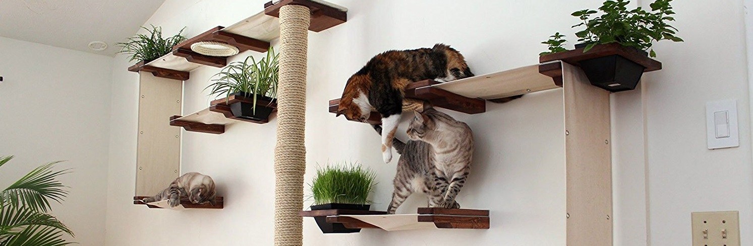 cat_climbing_structures_best_wall_mounted_cat_tree_catastrophiCreations_Cat_Mod_Garden_Complex_shelves_edit