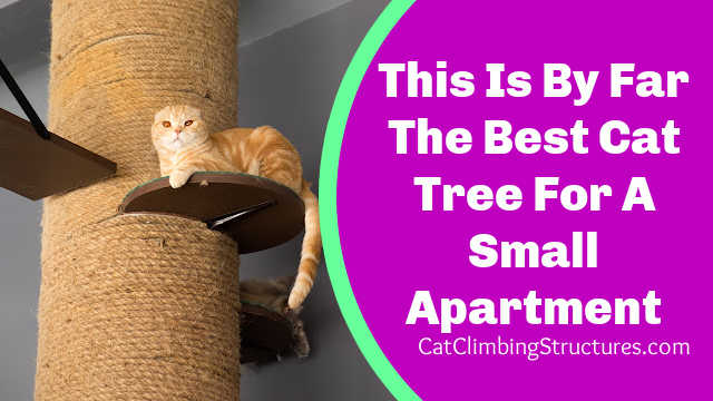 This Is By Far The Best Cat Tree For A Small Apartment