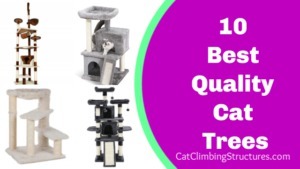 best_quality_cat_trees_2019