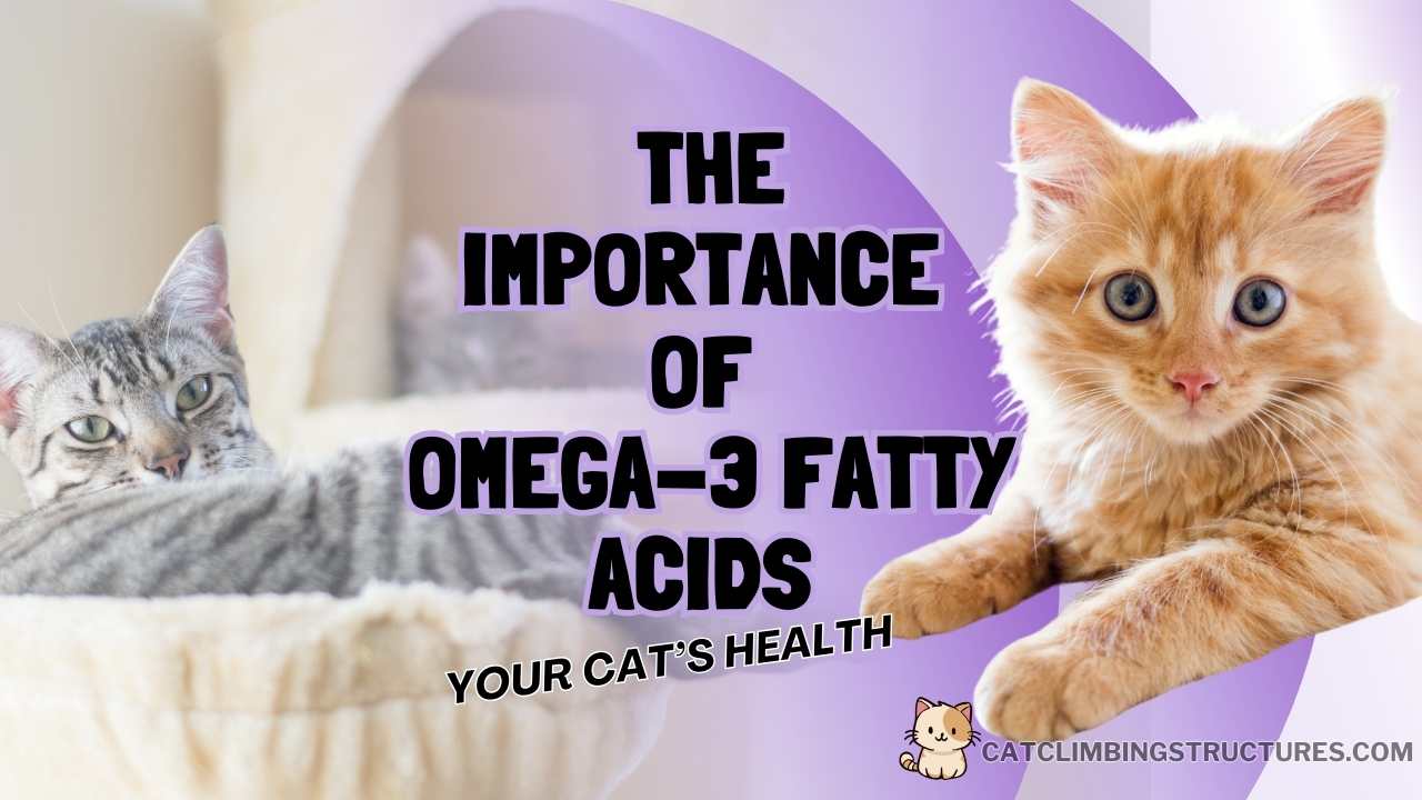 The_Importance_of_Omega-3_Fatty_Acids_for_Your_Cats_Health