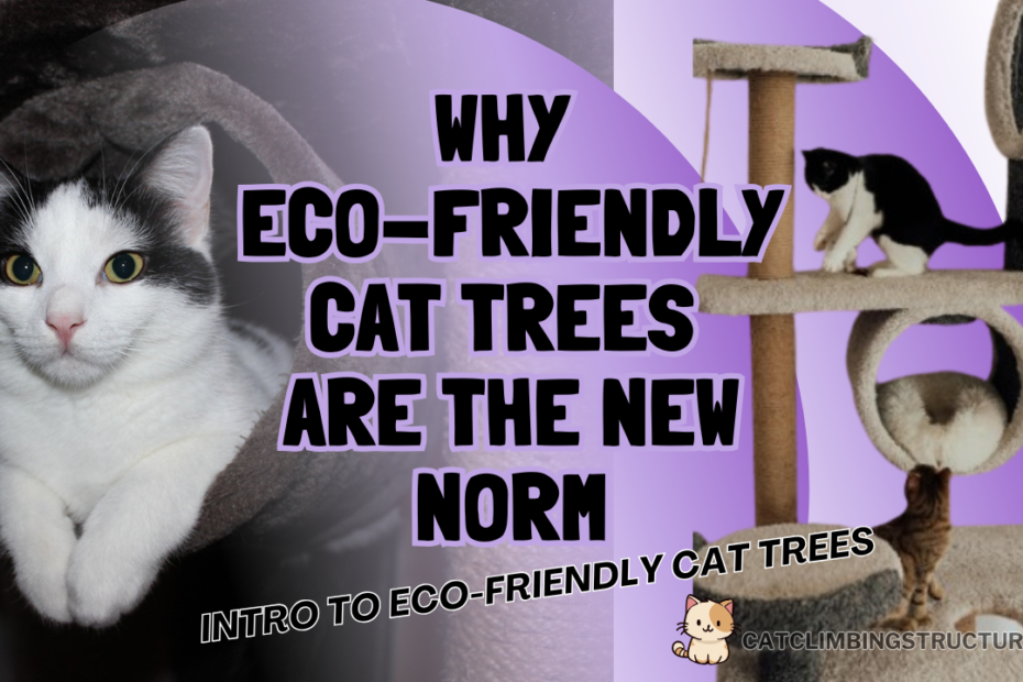 Why_Eco_Friendly_Cat_Trees_Are_The_New_Norm