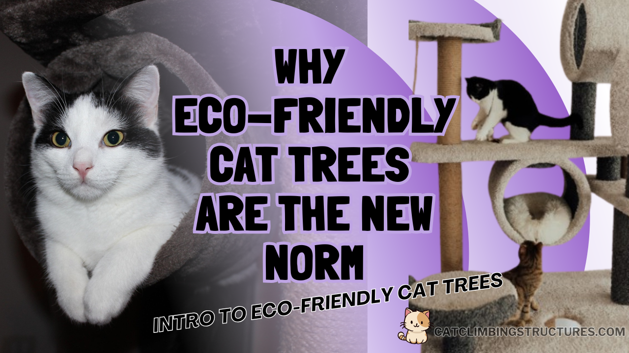 Why_Eco_Friendly_Cat_Trees_Are_The_New_Norm