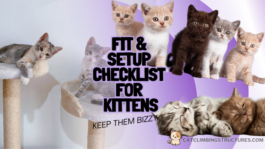 _By_Cat_Type_Fit_And_Setup_Checklist_Kittens_Cat_Climbing_Structures