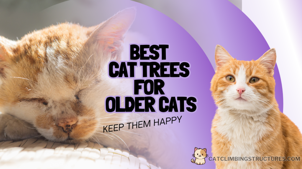 By_Cat_Type_Older_And_Senior_Cats_Best_Cat_Trees_for_Older_Cats_Cat_Climbing_Structures
